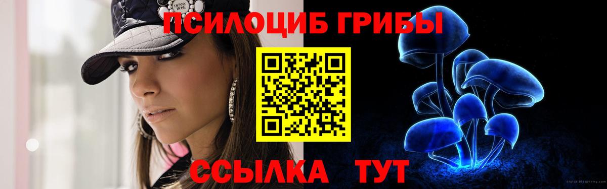 Псилоцибиновые грибы GOLDEN TEACHER  Вход с VPN  Когалым  Псилоцибиновые грибы MAGIC MUSHROOMS 