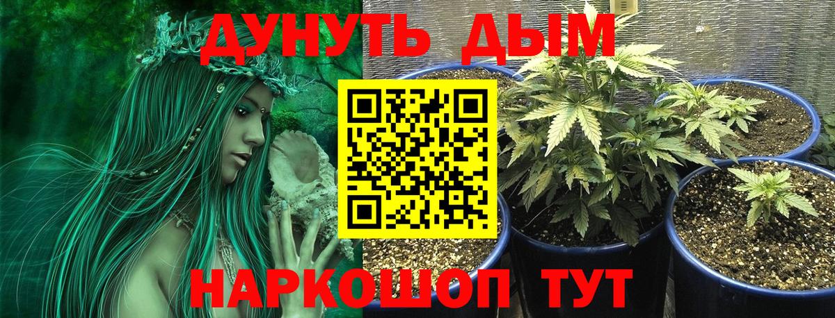 Бошки марихуана конопля  Канабис SATIVA & INDICA  Когалым  Каннабис Ganja  Вход с VPN 